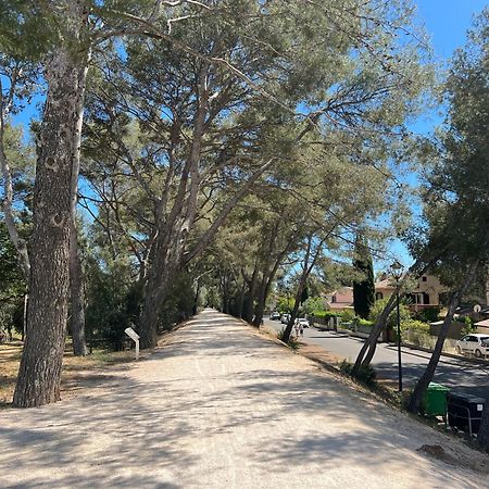 Petit Mas Au Paradis Avec Piscine Pour 6 Personnes La Londe-les-Maures Εξωτερικό φωτογραφία