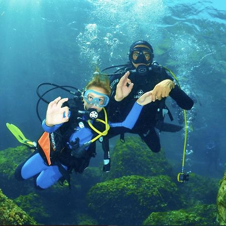 Petit Mas Au Paradis Avec Piscine Pour 6 Personnes La Londe-les-Maures Εξωτερικό φωτογραφία