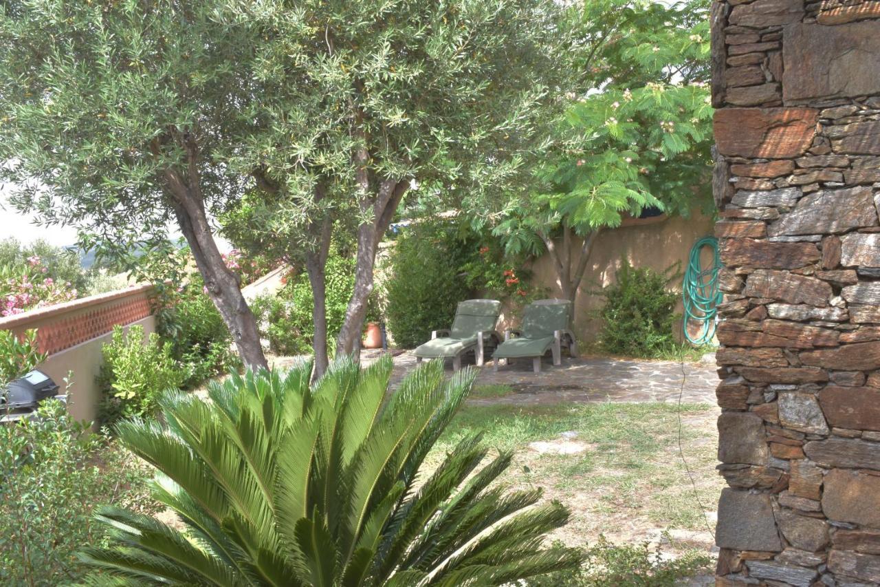 Petit Mas Au Paradis Avec Piscine Pour 6 Personnes La Londe-les-Maures Εξωτερικό φωτογραφία
