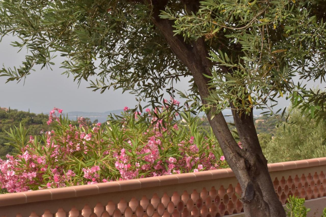 Petit Mas Au Paradis Avec Piscine Pour 6 Personnes La Londe-les-Maures Εξωτερικό φωτογραφία